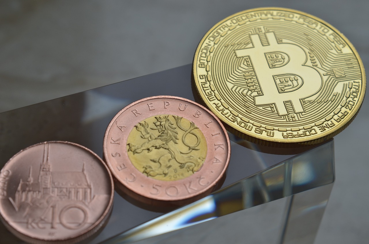 The Role of Blockchain in Protecting Minority Rights